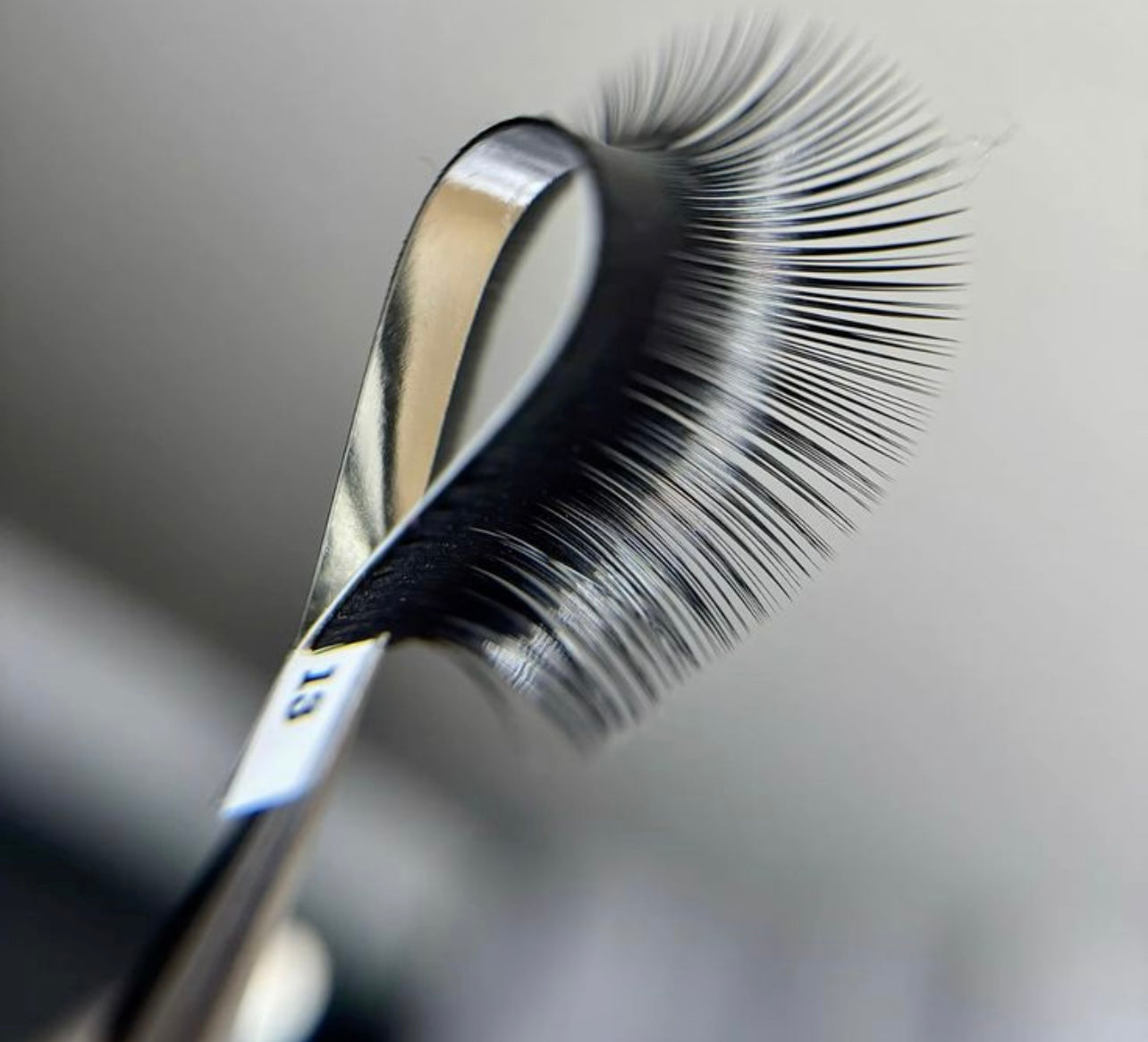 Elysian Beauty – Elite Premium Lashes